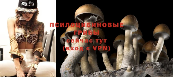 spice Аркадак